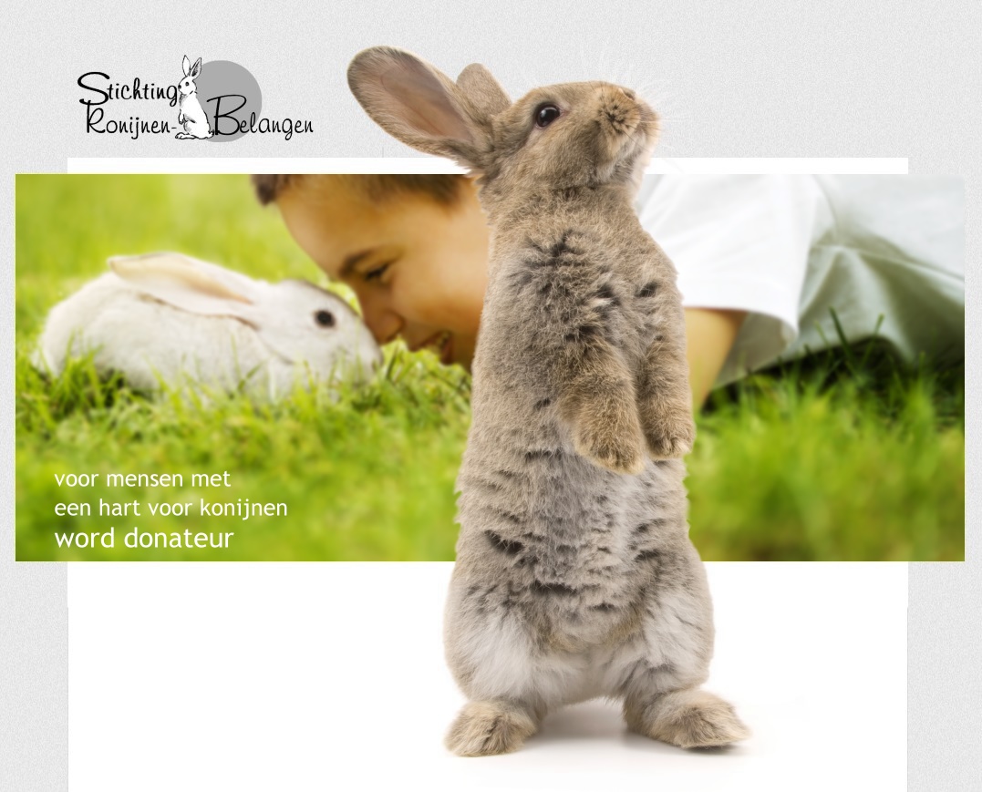 stichting konijnenbelangen: wordt donateur